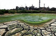  砷相關(guān)背景