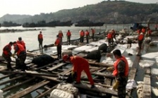  泉州市政府發(fā)布東港化學(xué)品泄漏事件處置情況