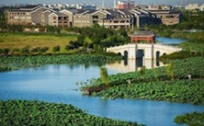  環(huán)保促發(fā)展系列報道（2）｜從&ldquo;優(yōu)環(huán)境&rdquo;到&ldquo;強產(chǎn)業(yè)&rdquo;再到&ldquo;惠民生&rdquo; 東莞市麻涌鎮(zhèn)走通綠色發(fā)展&ldquo;閉環(huán)&rdquo;