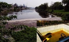  江蘇泰興短期內連遭生態(tài)環(huán)境部嚴批后續(xù)：市委副書記等5人被問責