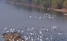  生態(tài)環(huán)境部召開2018年上半年水環(huán)境質(zhì)量達(dá)標(biāo)滯后地區(qū)工作調(diào)度會