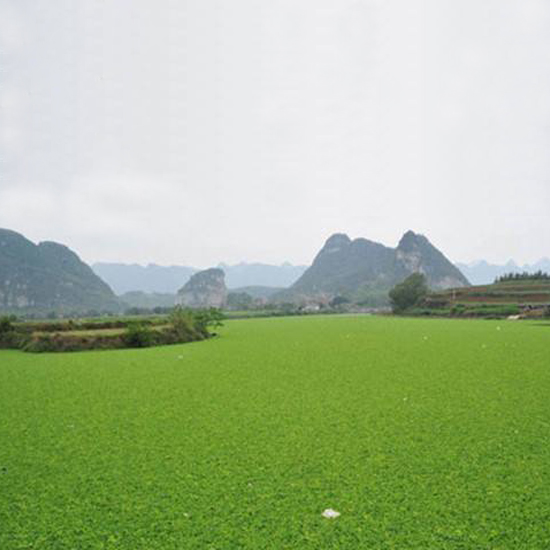  氣溫下降，我的氨氮超標(biāo)怎么辦