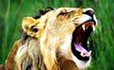  環(huán)保雄師還待磨&ldquo;牙&rdquo;