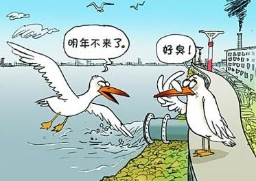  國(guó)家飲用水標(biāo)準(zhǔn)及水質(zhì)合格率是多少？