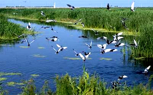 IPBES全球評(píng)估第三次作者會(huì)在德國(guó)召開