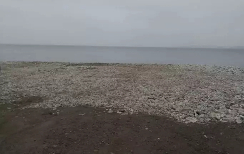 吉林省四平市二龍山水庫(kù)水源保護(hù)區(qū)3.7萬株生態(tài)涵養(yǎng)林被砍伐