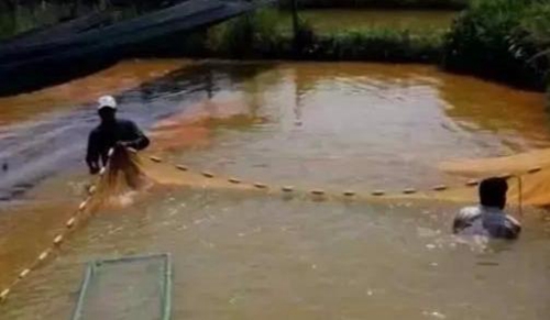 水渾了？不用怕，這五個(gè)方面讓水質(zhì)恢復(fù)清新